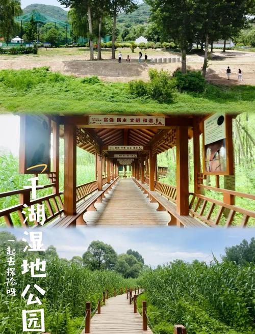 宝鸡千湖湿地公园:春夏秋露营好去处